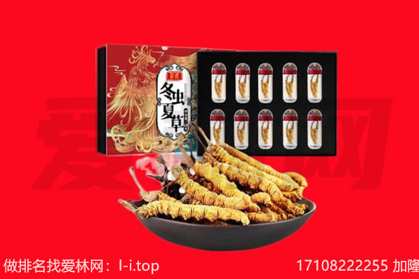 于洪区回收虫草.jpg